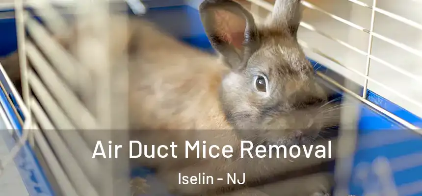  Air Duct Mice Removal Iselin - NJ