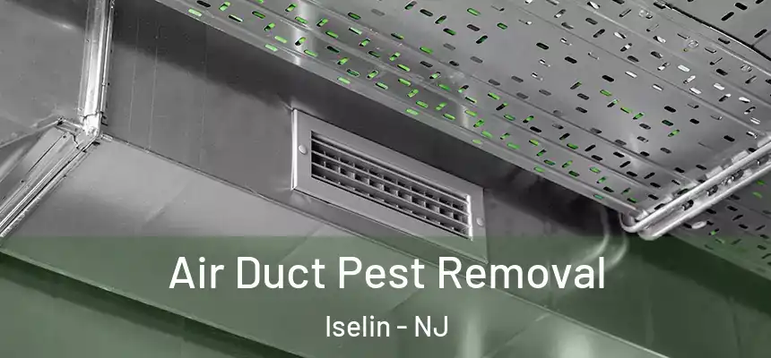  Air Duct Pest Removal Iselin - NJ