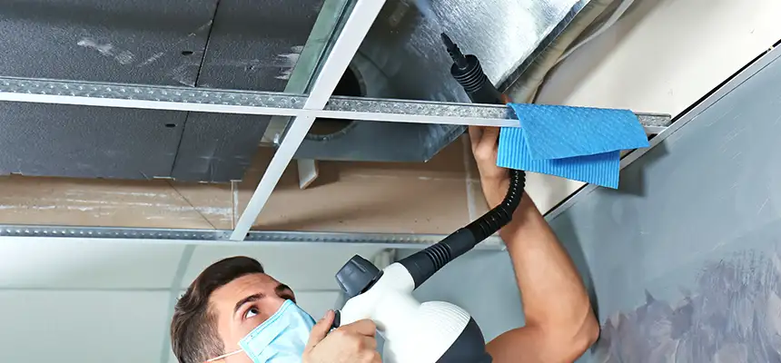 Our Air Duct Rodent Removal Services in Iselin, NJ