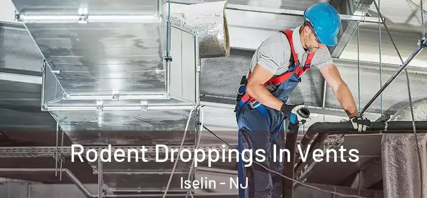  Rodent Droppings In Vents Iselin - NJ