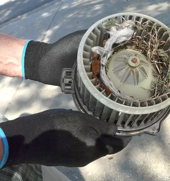 About Air Duct Rat Removal in Iselin, NJ