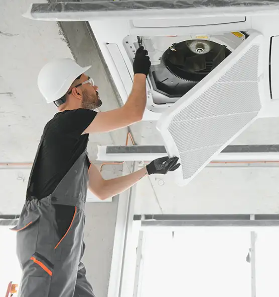 About Air Duct Rodent Removal in Iselin, NJ