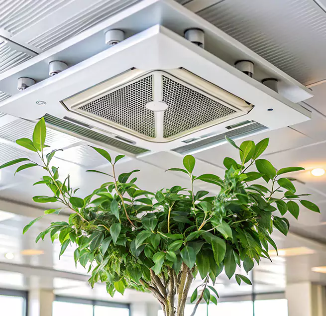 Why Homeowners & Businesses Trust Us in Iselin, NJ