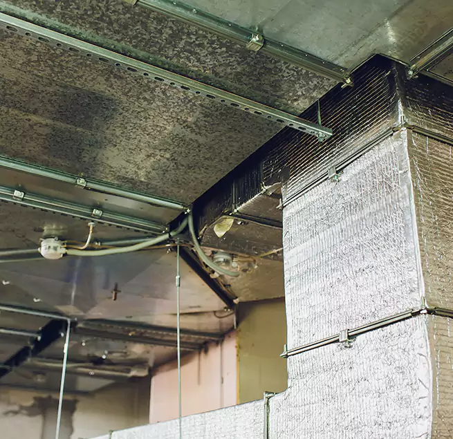 Why Homeowners & Businesses Trust Us in Iselin, NJ?